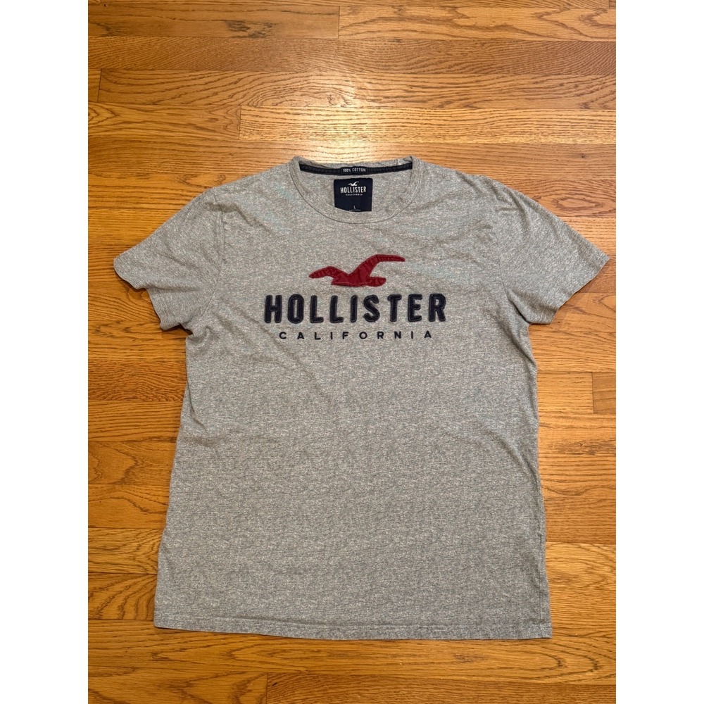 Hollister California Mens Large Gray Graphic T-Shirt Cotton Seagull Logo Tee
